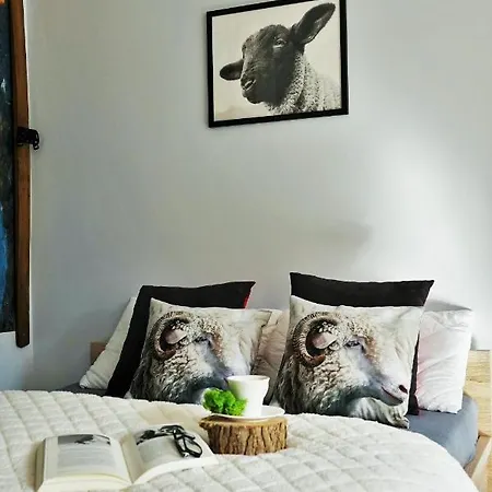 Apartment Lowca Pienin