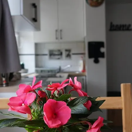 Lowca Pienin Апартаменты