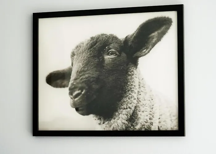 Appartement Lowca Pienin