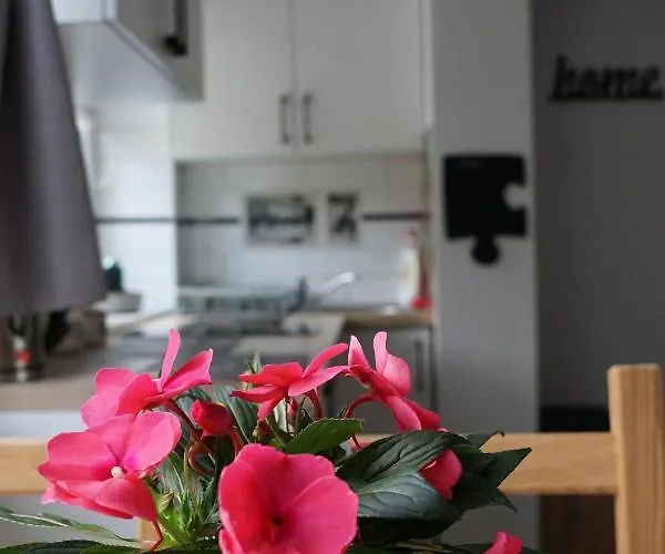 Lowca Pienin Appartement