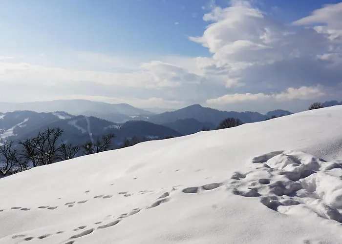 Lowca Pienin Appartement